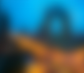 Rural revitalization